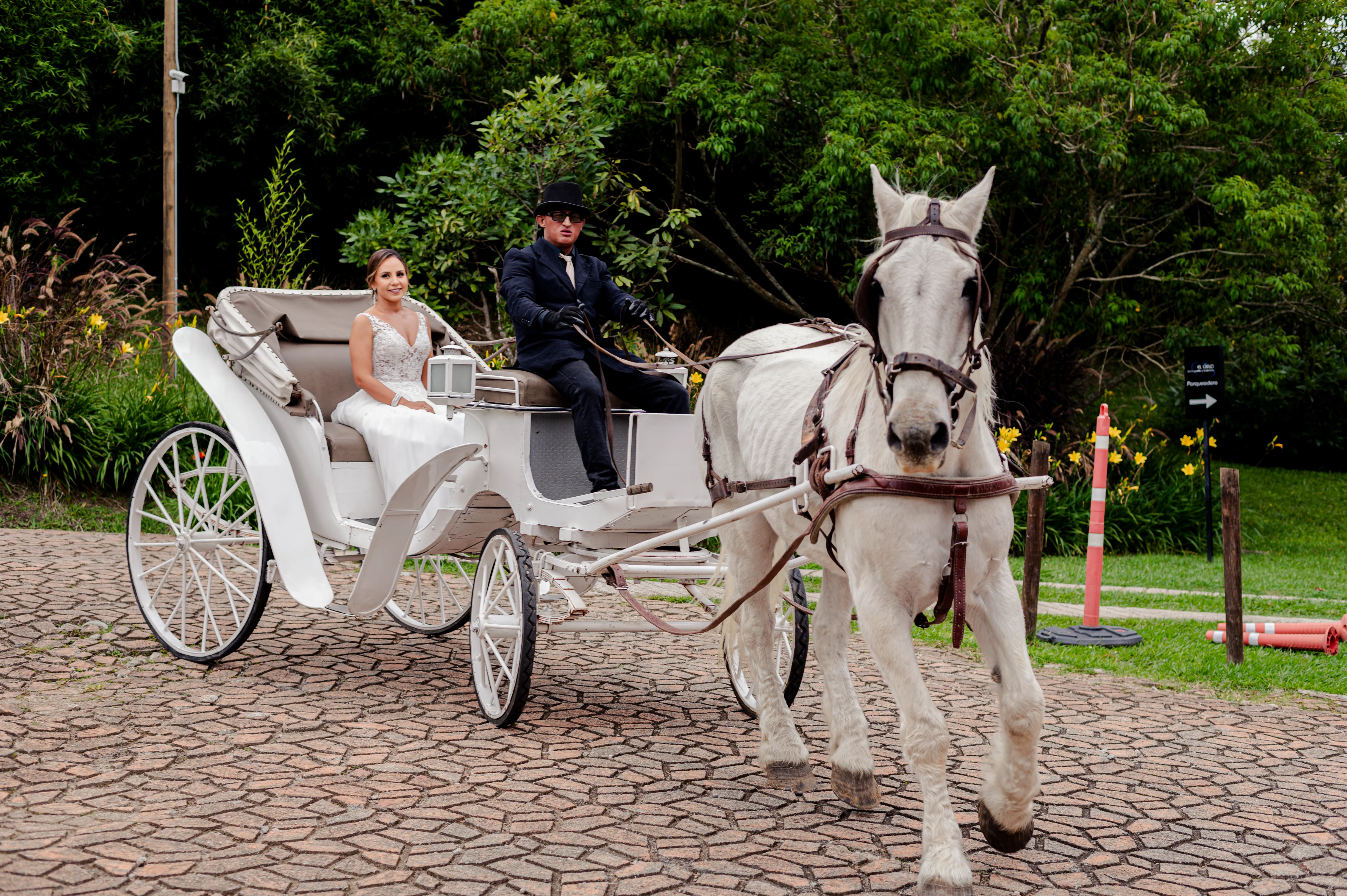 Organizador de eventos profesional en Medellín